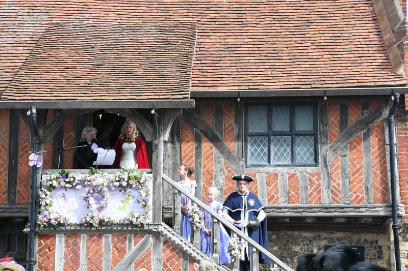 Photo of Aldeburgh Carnival 2008