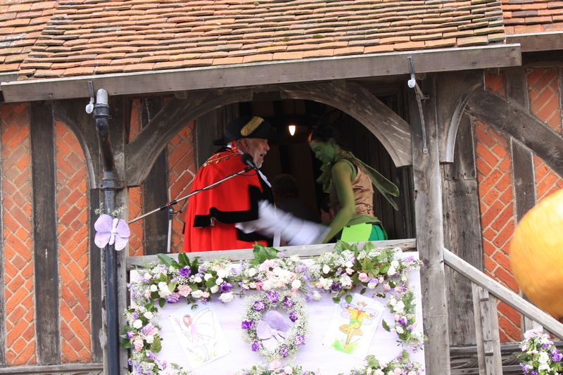 Photo of Aldeburgh Carnival 2008