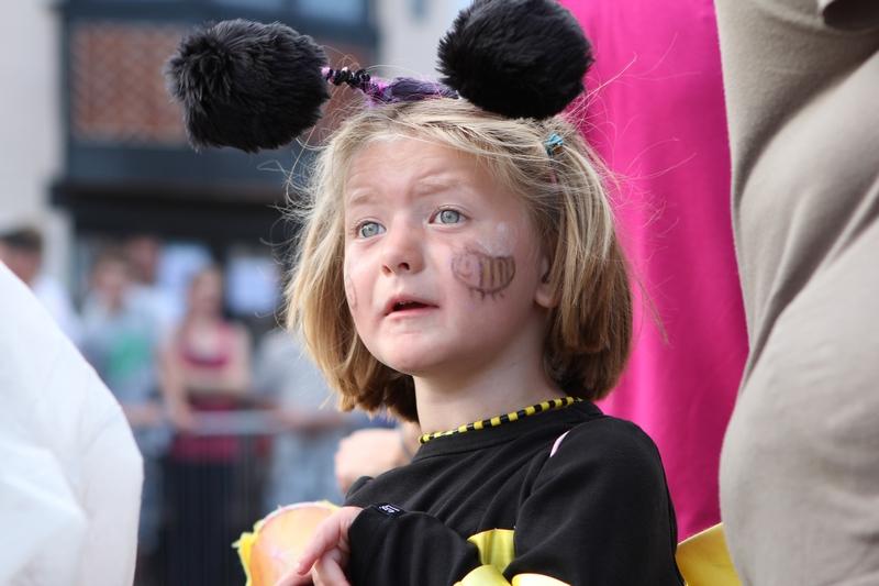 Photo of Aldeburgh Carnival 2012
